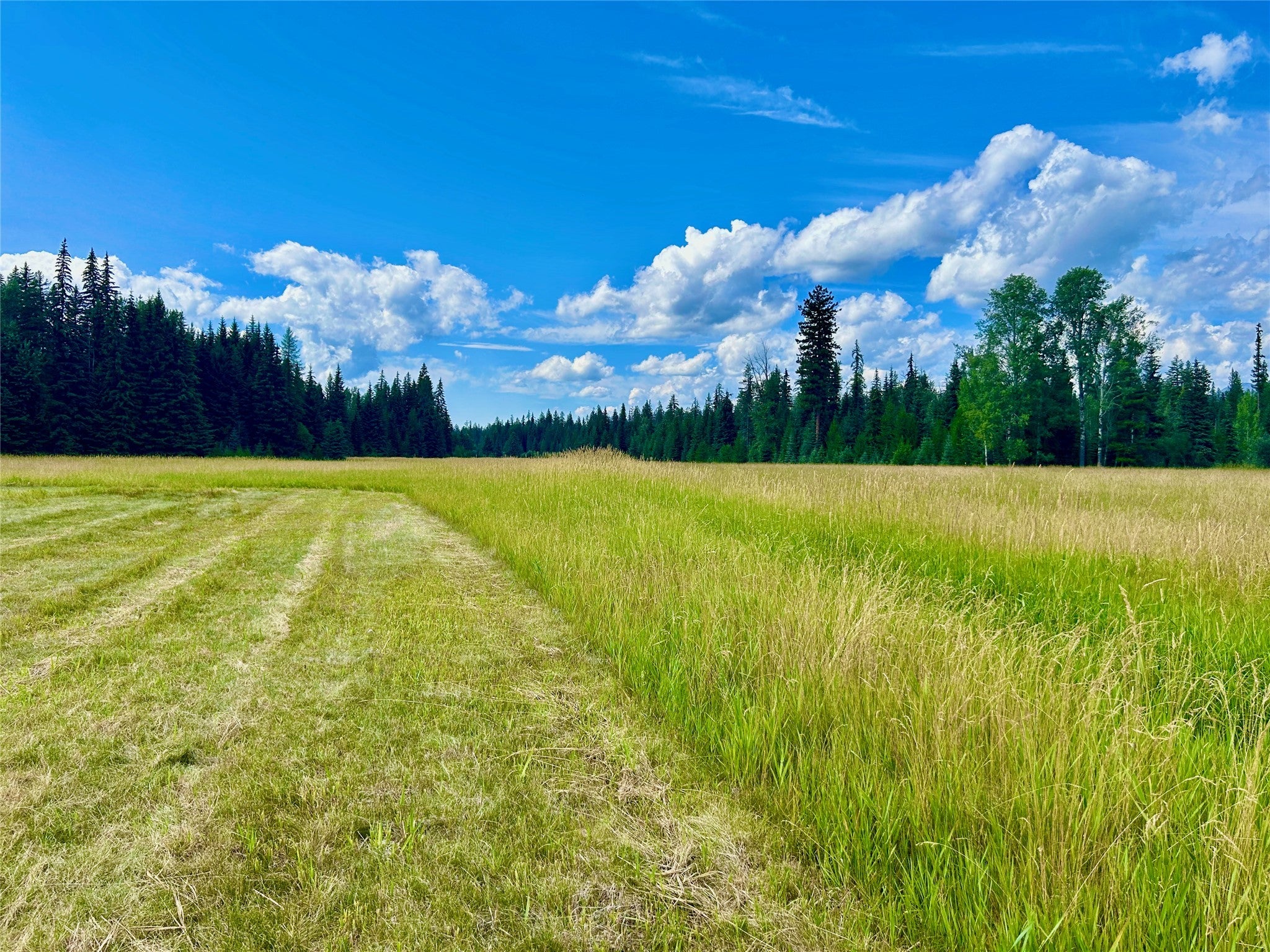 Whitefish, Montana, 59937, United States, 1 Bedroom Bedrooms, ,Residential,Active,1801048