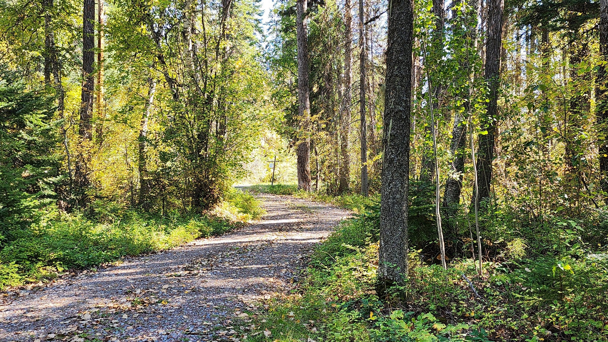 Bigfork, Montana, 59911, United States, ,2 BathroomsBathrooms,Residential,Active,1769754