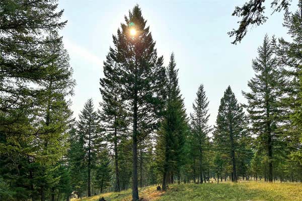 30.25 ACRES FORTINE CREEK ROAD # LOT 2A, TREGO, MT 59934 - Image 1