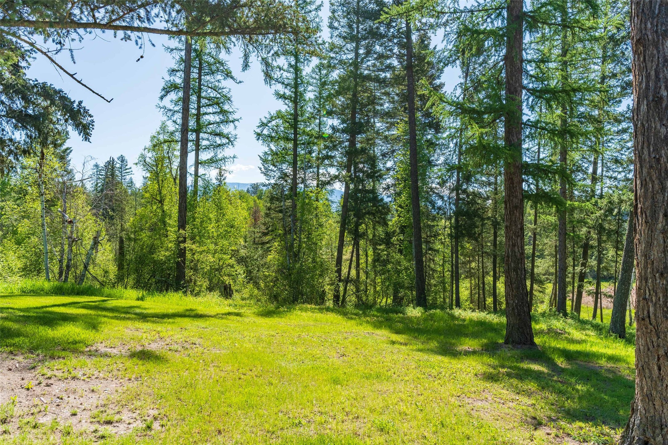 Columbia Falls, Montana, 59912, United States, ,3 BathroomsBathrooms,Residential,Active,1841309