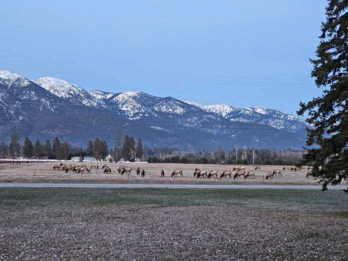 Columbia Falls, Montana, 59912, United States, 5 Bedrooms Bedrooms, ,3 BathroomsBathrooms,Residential,Active,1986898