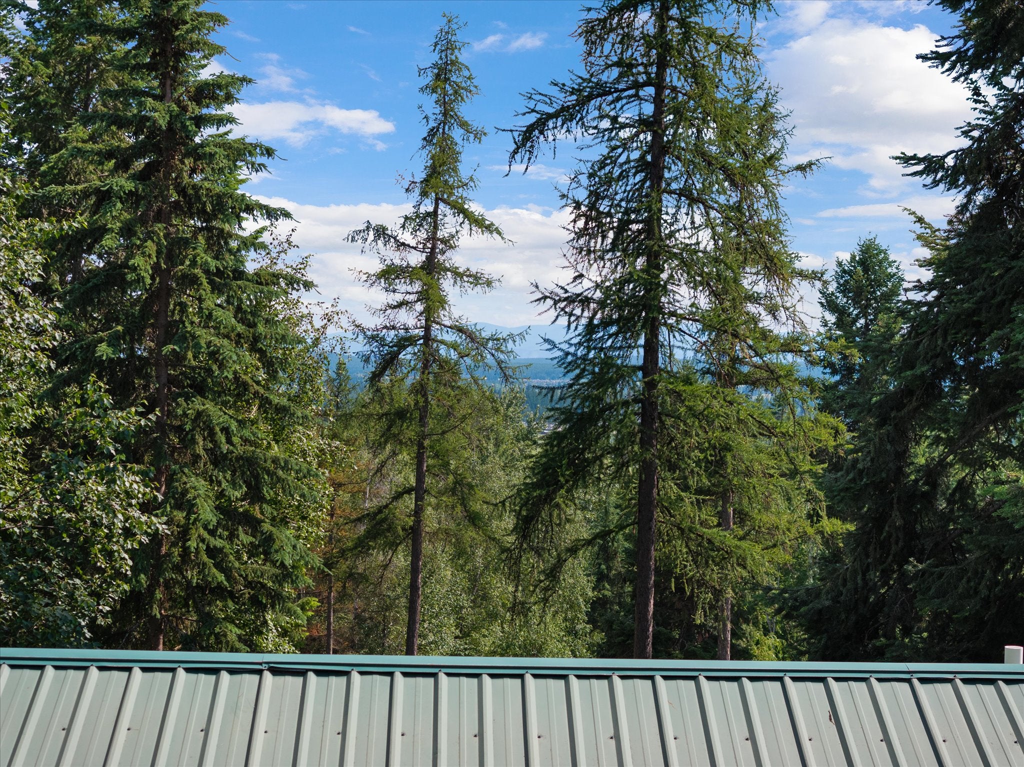 Whitefish, Montana, 59937, United States, 5 Bedrooms Bedrooms, ,3 BathroomsBathrooms,Residential,Active,1764891