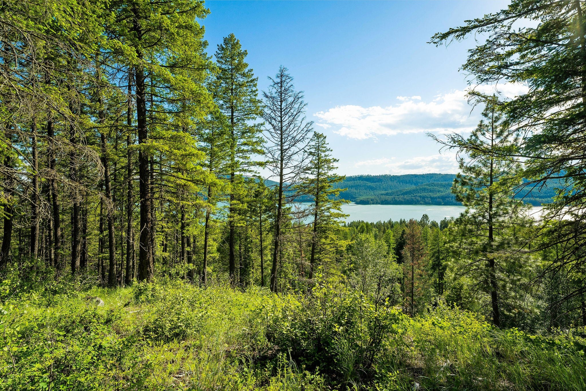 Whitefish, Montana, 59937, United States, ,9 BathroomsBathrooms,Residential,Active,1769536