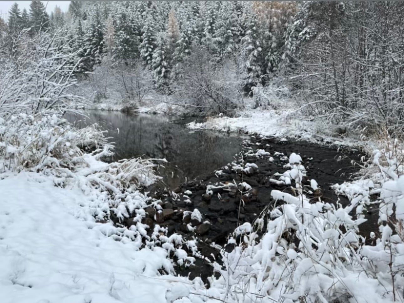 Libby, Montana, 59923, United States, 3 Bedrooms Bedrooms, ,2 BathroomsBathrooms,Residential,Active,1945847