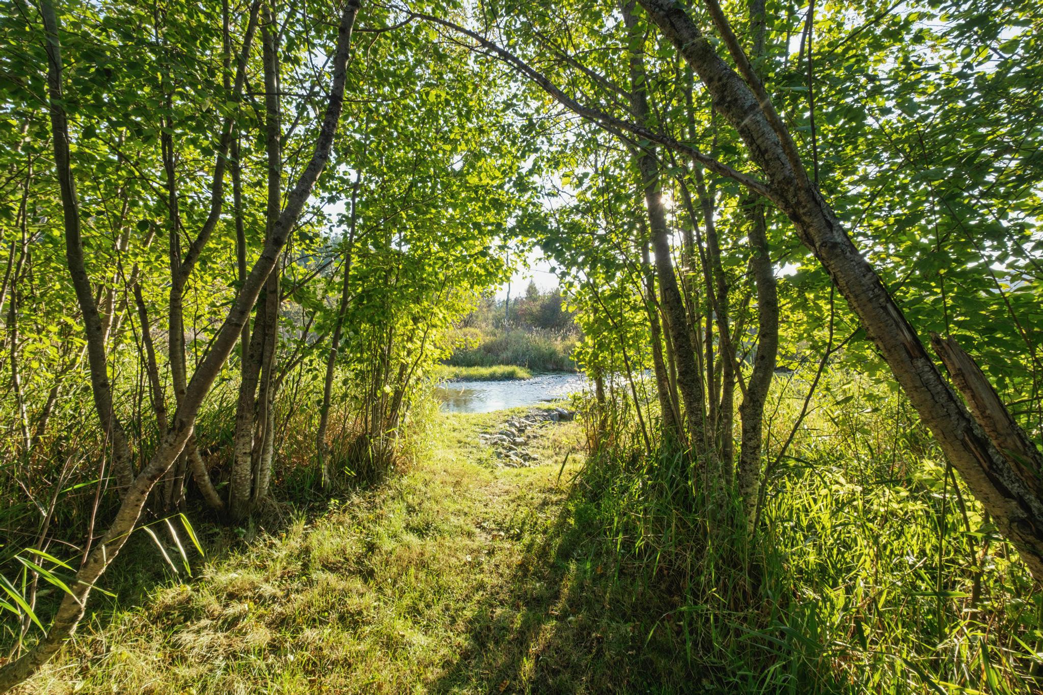 Libby, Montana, 59923, United States, 3 Bedrooms Bedrooms, ,2 BathroomsBathrooms,Residential,Active,1945847