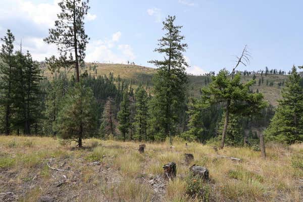 NHN TRACT 1C E FORK COMBEST CREEK ROAD, PLAINS, MT 59859 - Image 1