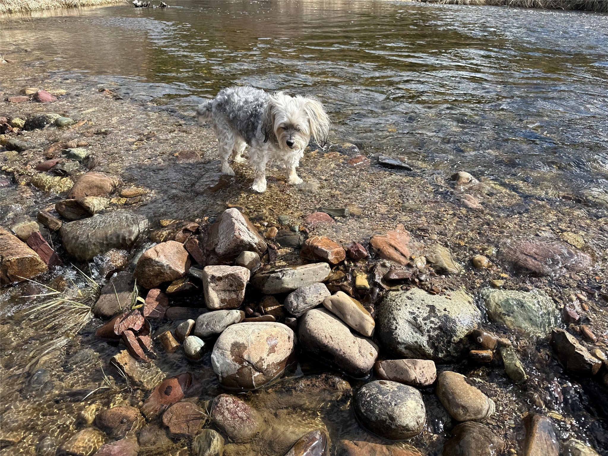 Libby, Montana, 59923, United States, 3 Bedrooms Bedrooms, ,2 BathroomsBathrooms,Residential,Active,1945847