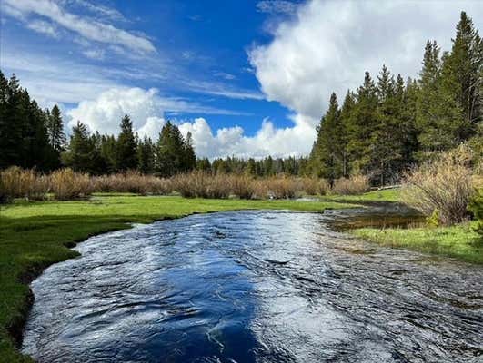 11203 SKINNER MEADOWS RD, JACKSON, MT 59736 - Image 1