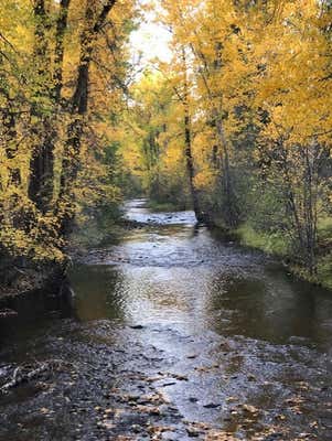 NHN NINE MILE ROAD, HUSON, MT 59846 - Image 1