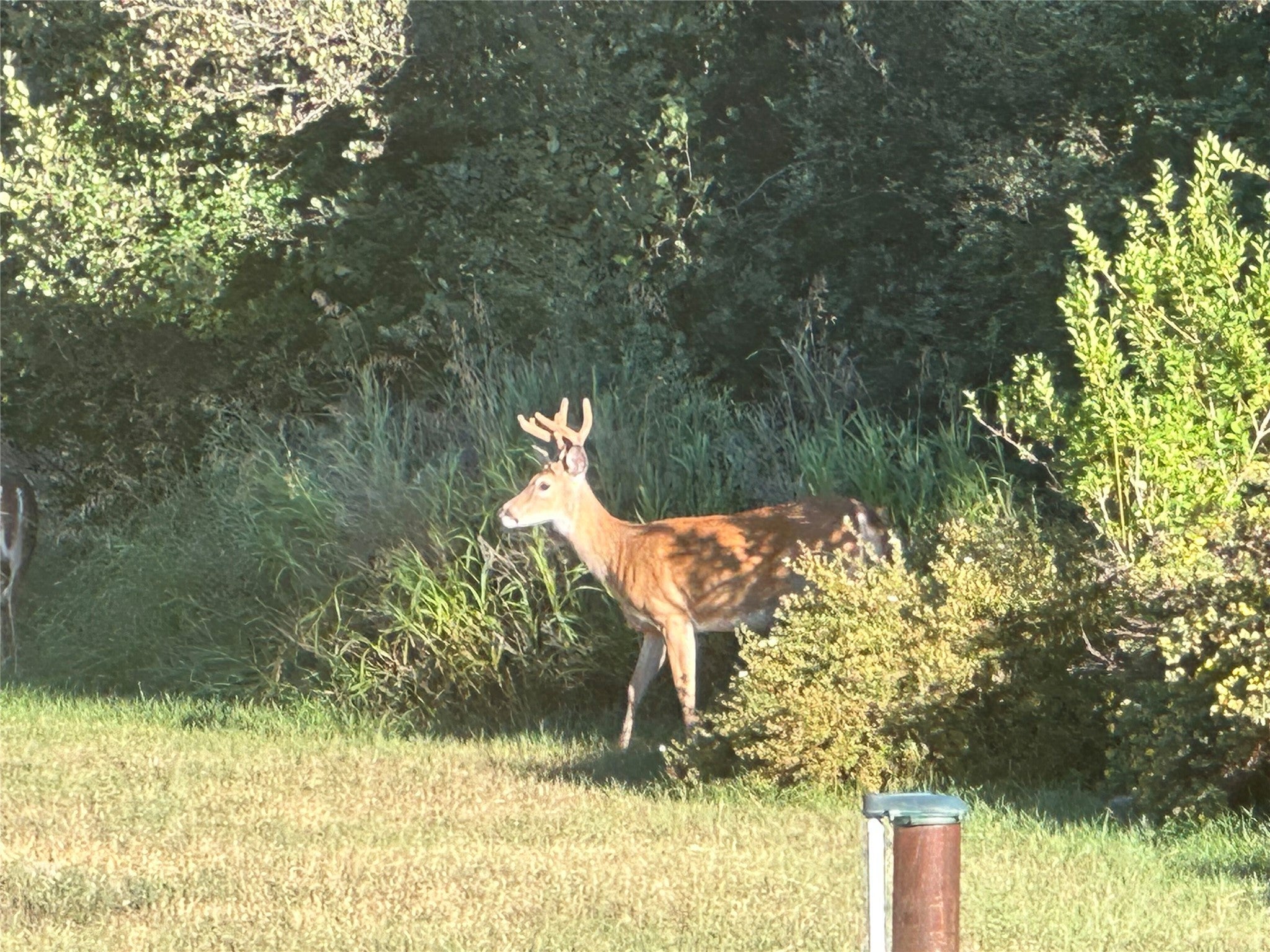 Libby, Montana, 59923, United States, 3 Bedrooms Bedrooms, ,2 BathroomsBathrooms,Residential,Active,1945847