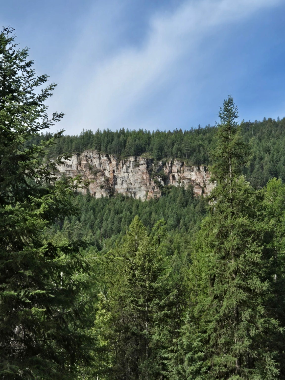 Whitefish, Montana, 59937, United States, 4 Bedrooms Bedrooms, ,3 BathroomsBathrooms,Residential,Active,1889340