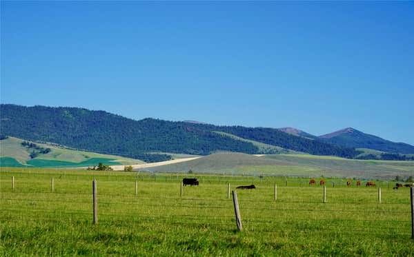 00 CHAPMAN LANE, STEVENSVILLE, MT 59870 - Image 1