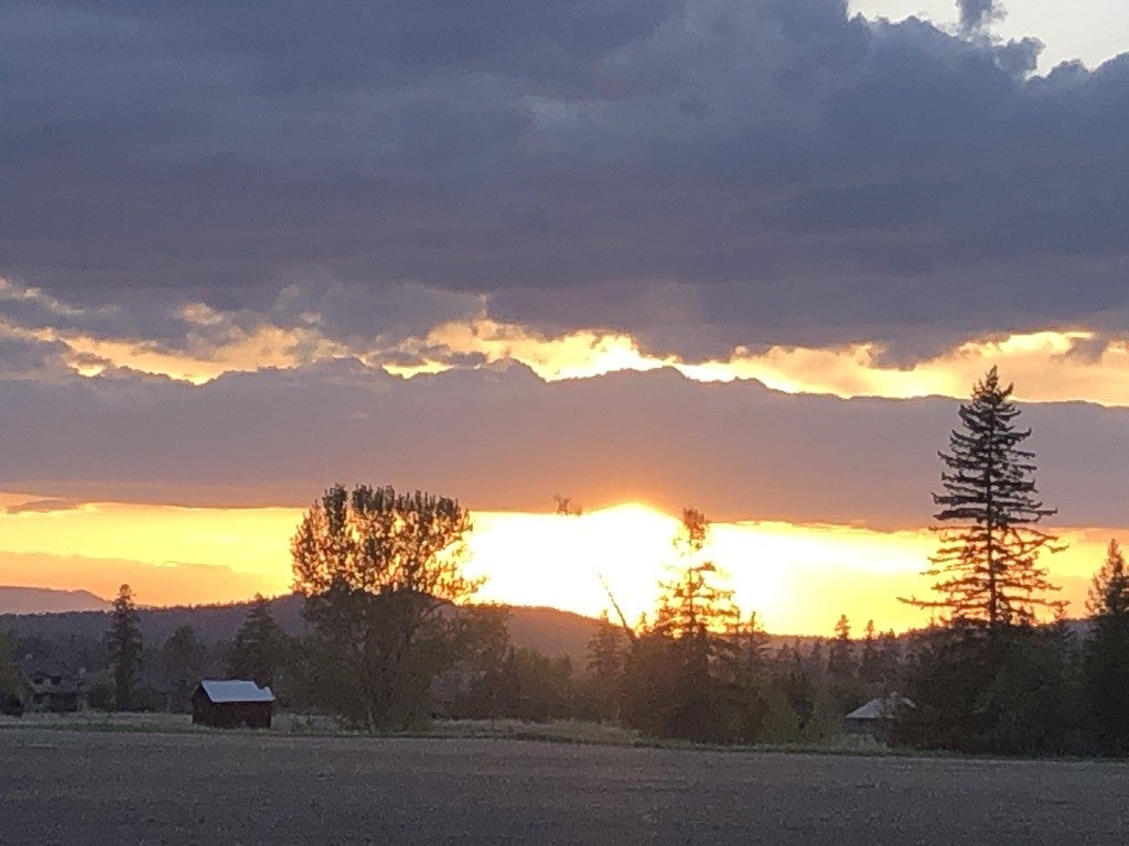 Columbia Falls, Montana, 59912, United States, ,3 BathroomsBathrooms,Residential,Active,1841309