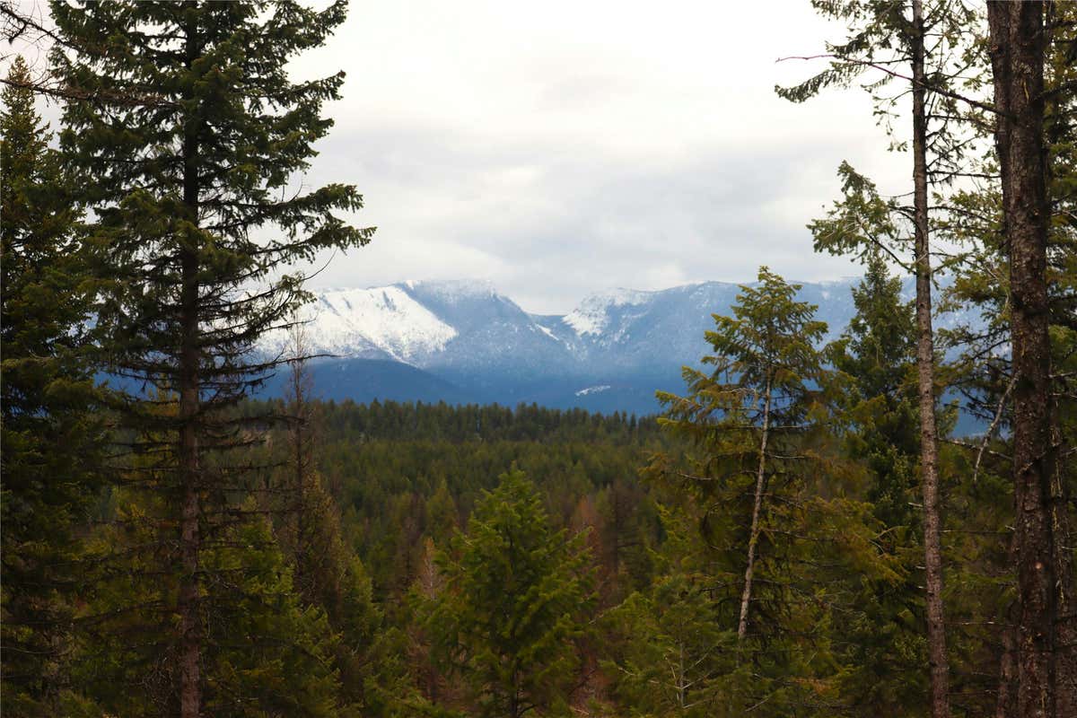 NHN 120 ACRES SOUTH, EUREKA, MT 59917, photo 1 of 69