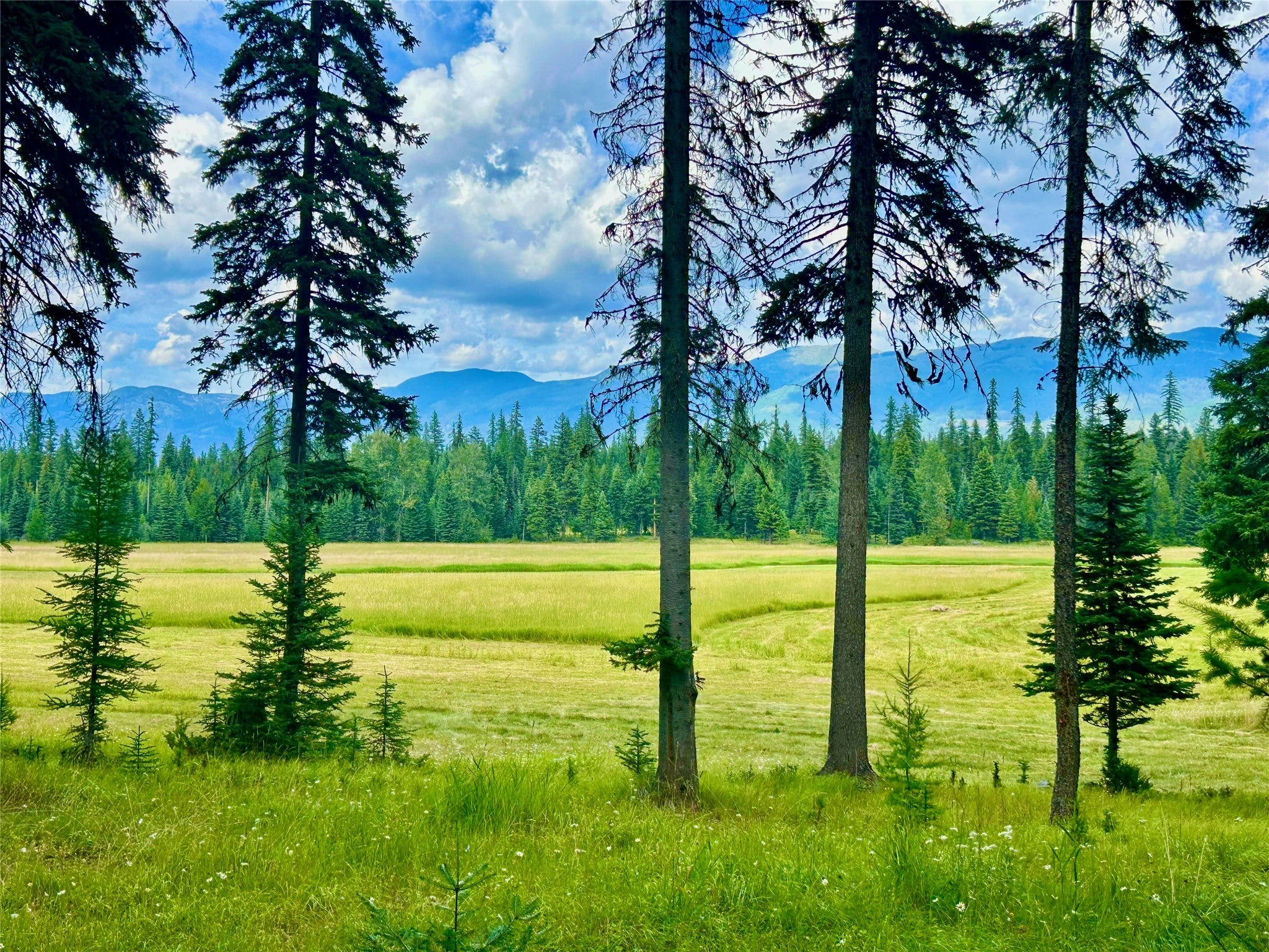 Whitefish, Montana, 59937, United States, 1 Bedroom Bedrooms, ,Residential,Active,1801048