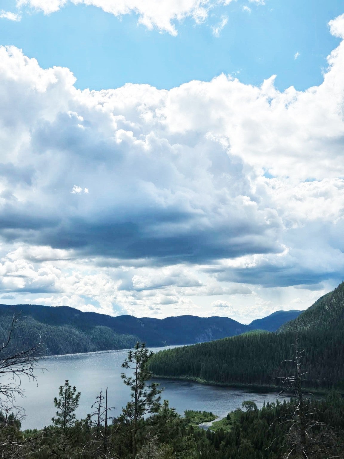 Whitefish, Montana, 59937, United States, 4 Bedrooms Bedrooms, ,3 BathroomsBathrooms,Residential,Active,1889340