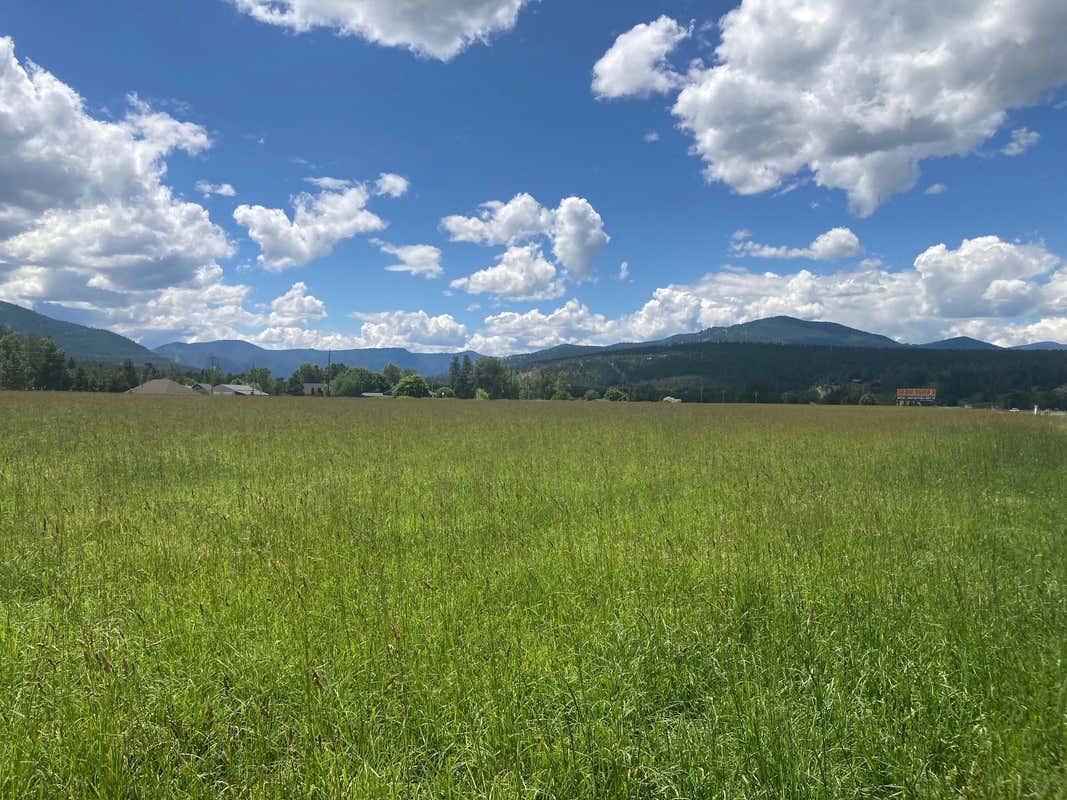 23706 HUSON RD LOT 3, HUSON, MT 59846, photo 1 of 8