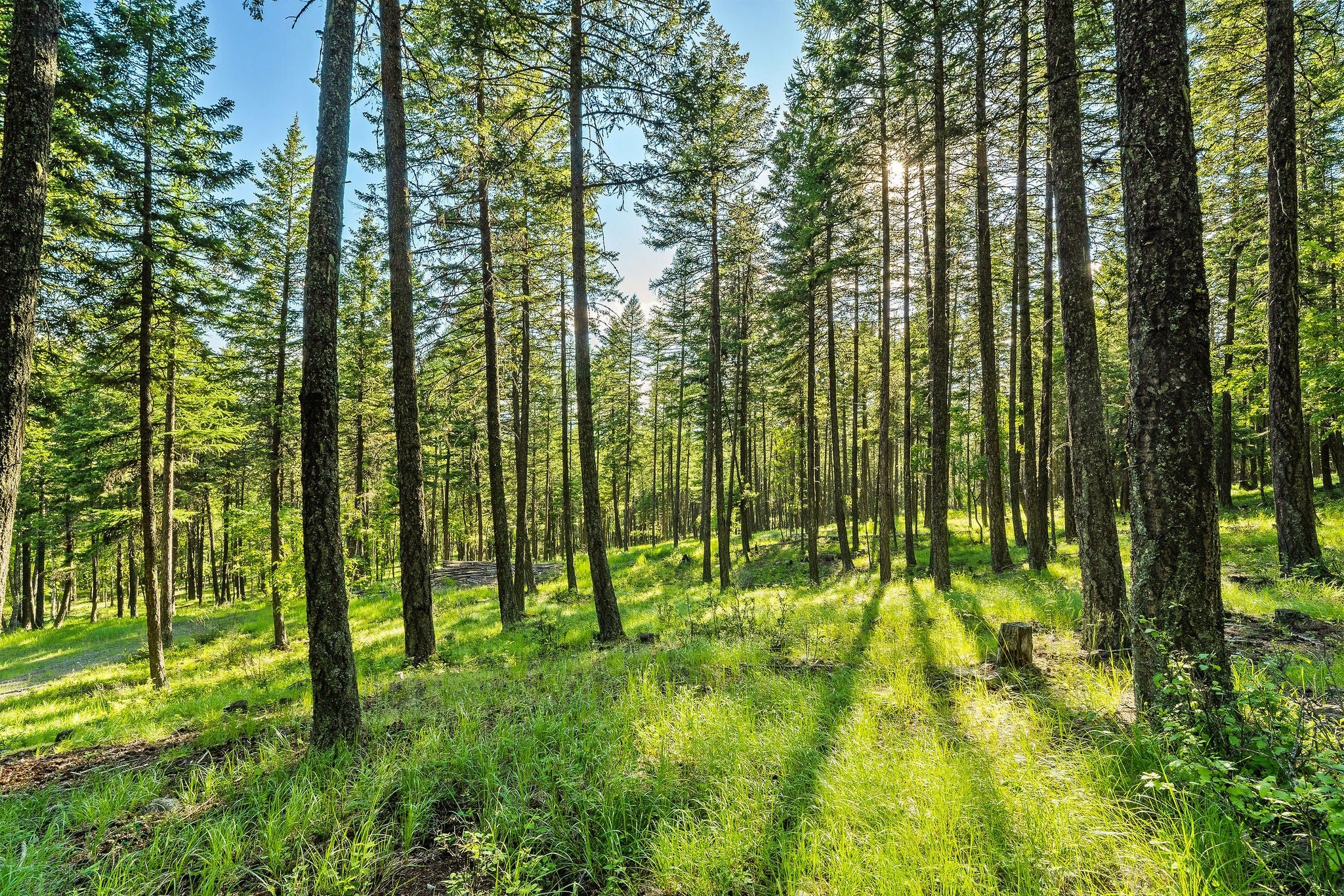 Whitefish, Montana, 59937, United States, ,9 BathroomsBathrooms,Residential,Active,1769536