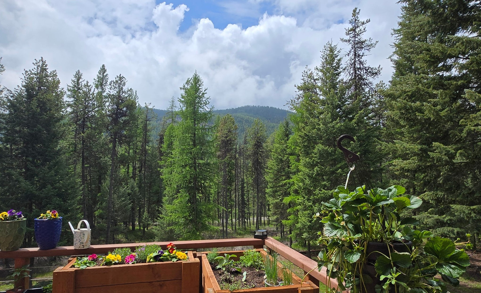 Whitefish, Montana, 59937, United States, 4 Bedrooms Bedrooms, ,3 BathroomsBathrooms,Residential,Active,1889340