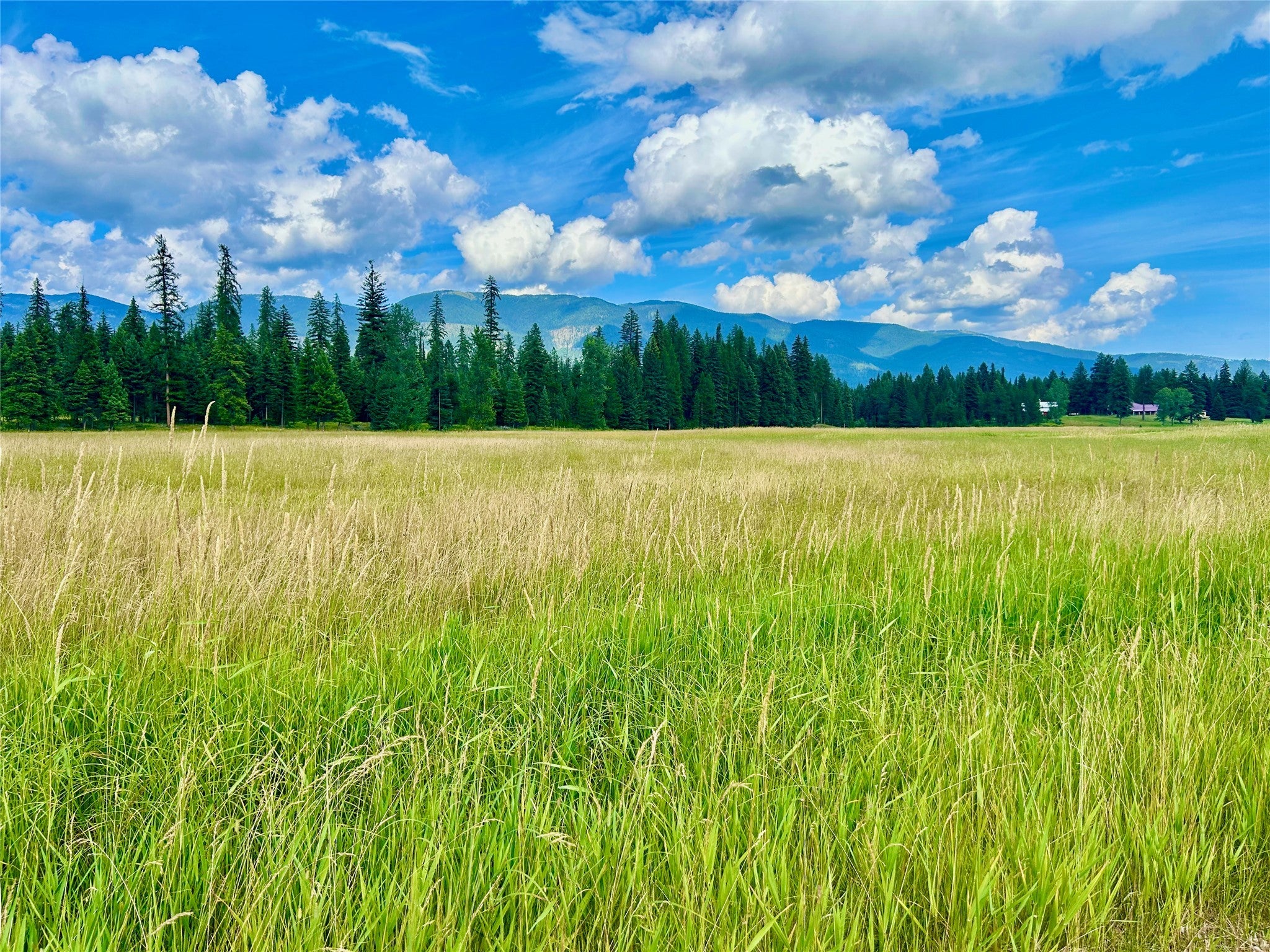 Whitefish, Montana, 59937, United States, 1 Bedroom Bedrooms, ,Residential,Active,1801048