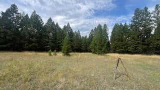 1615 TRUMAN CREEK RD, KILA, MT 59920 - Image 1