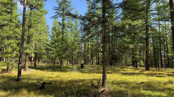 NHN FOREST LOOP, EUREKA, MT 59917 - Image 1