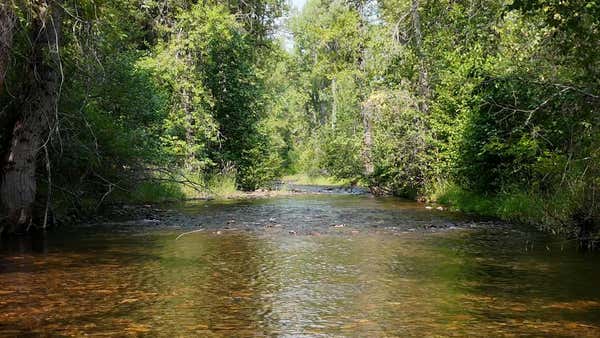 NHN NINE MILE ROAD, HUSON, MT 59846 - Image 1