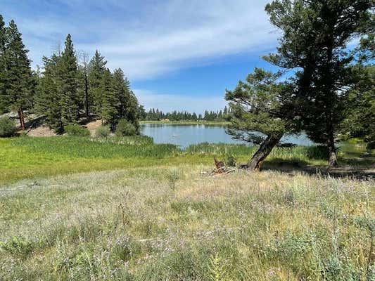 TBD BRAZIEL CREEK, HELMVILLE, MT 59843 - Image 1