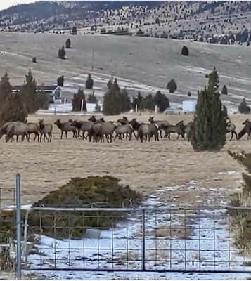 119050 BATTLE RIDGE RD, BUTTE, MT 59750 - Image 1