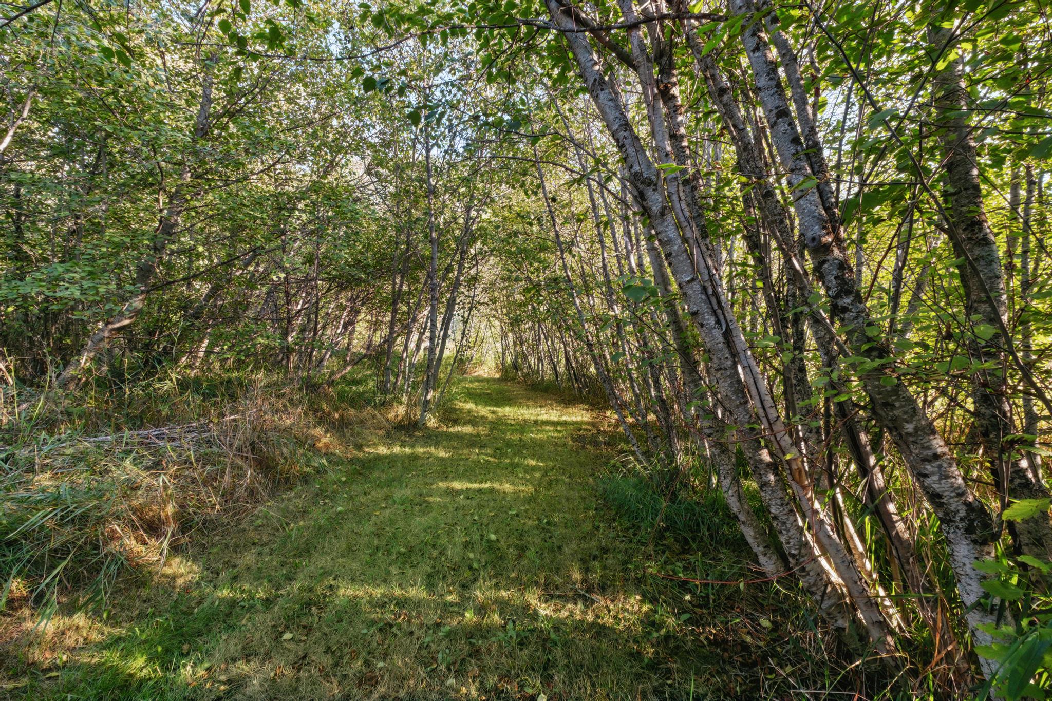 Libby, Montana, 59923, United States, 3 Bedrooms Bedrooms, ,2 BathroomsBathrooms,Residential,Active,1945847