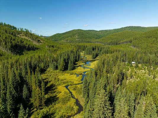 NHN LOGAN CREEK ROAD, KILA, MT 59920 - Image 1