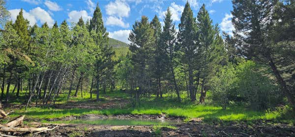 TBD HALL CREEK TRACT, HELMVILLE, MT 59843 - Image 1