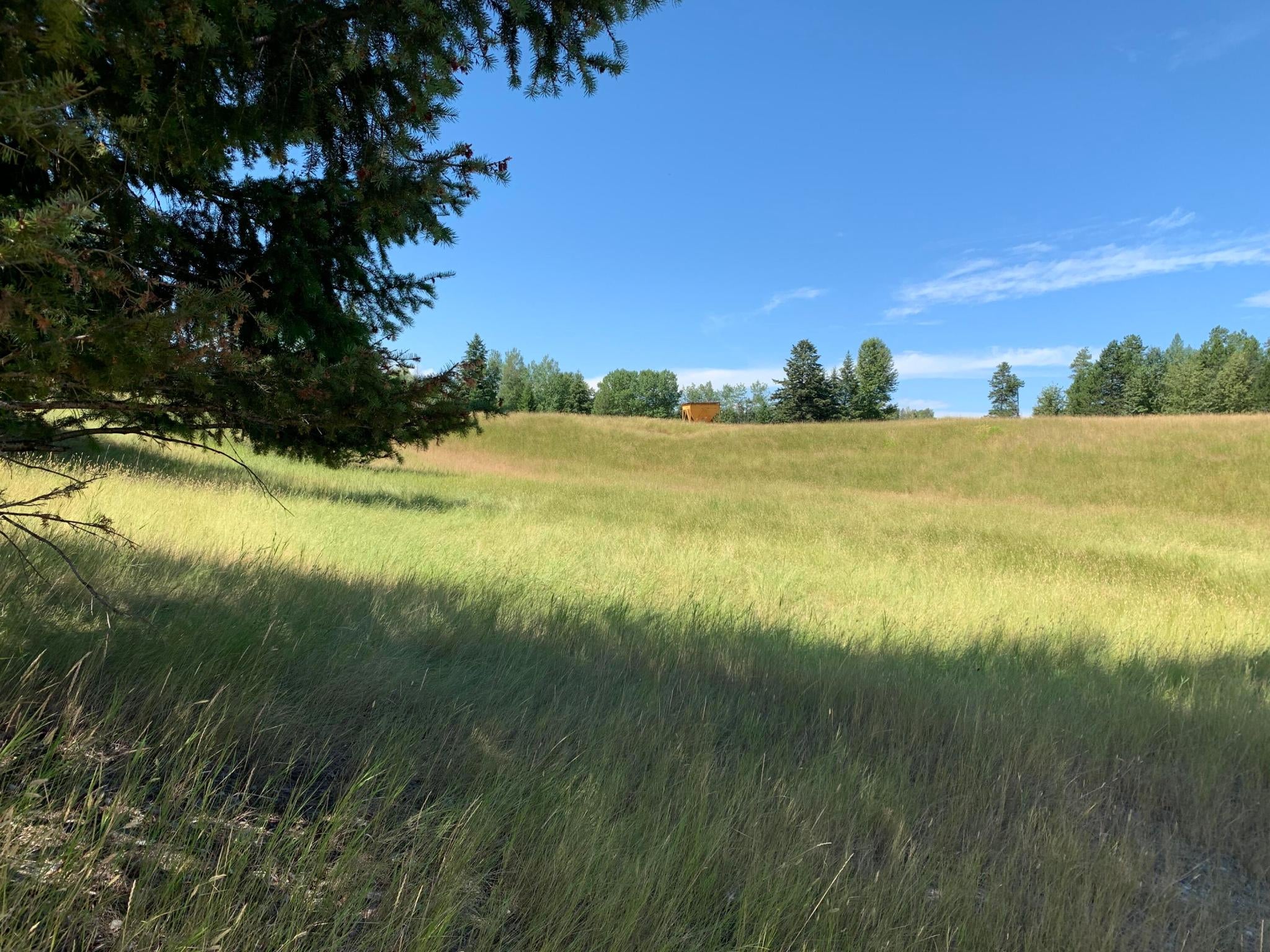 Whitefish, Montana, 59937, United States, ,Residential,Active,1929929