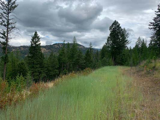 NHN WHITETAIL RIDGE ROAD, KILA, MT 59920 - Image 1