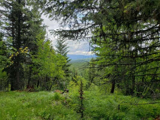 TBD BUTCHER CREEK ROAD, TREGO, MT 59934 - Image 1