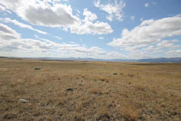 80 WILLOW CREEK RD, AUGUSTA, MT 59410 - Image 1