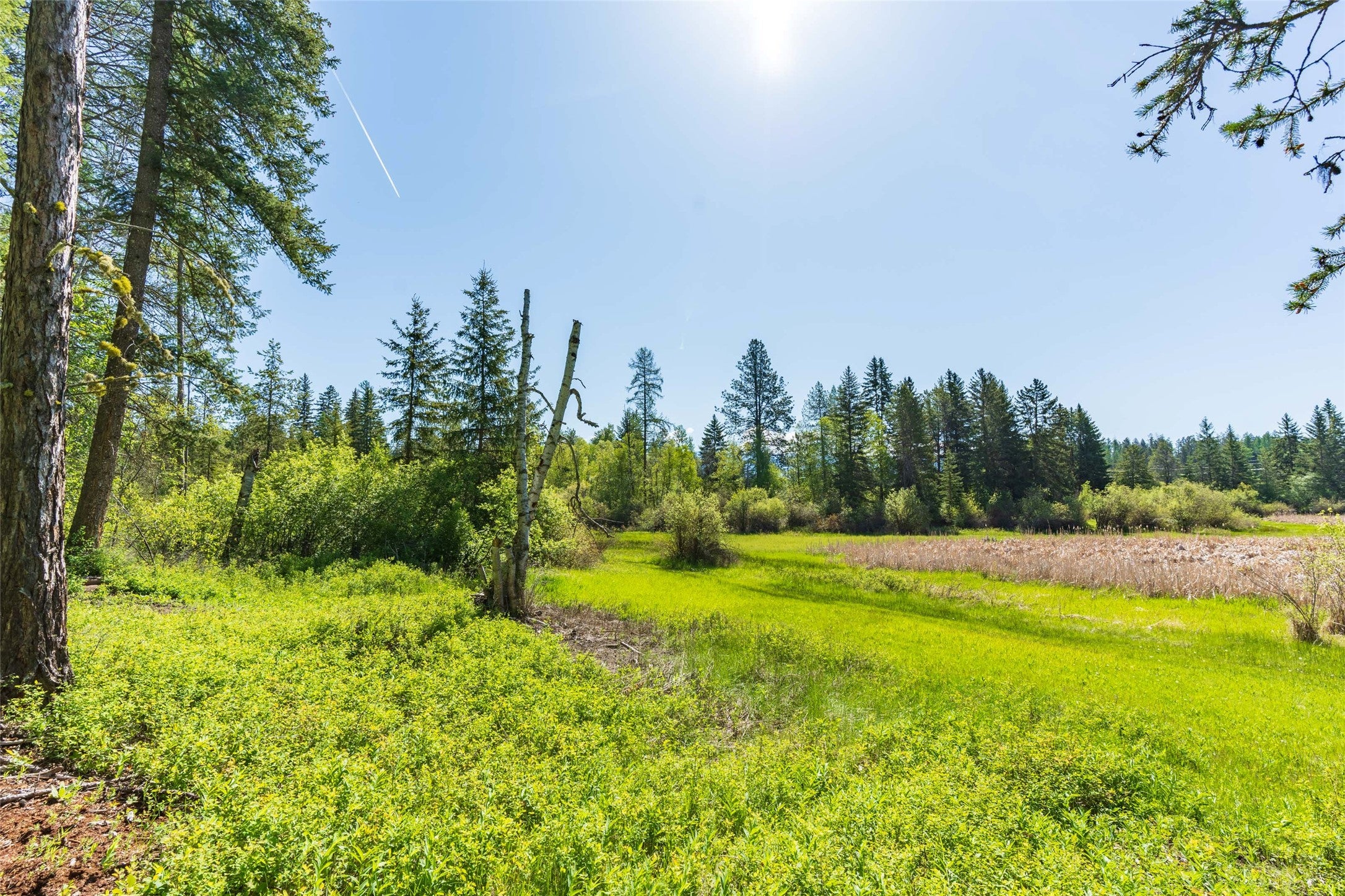 Columbia Falls, Montana, 59912, United States, ,3 BathroomsBathrooms,Residential,Active,1841309