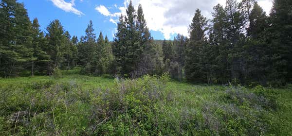 11 HALL CREEK TRACTS, HELMVILLE, MT 59843 - Image 1