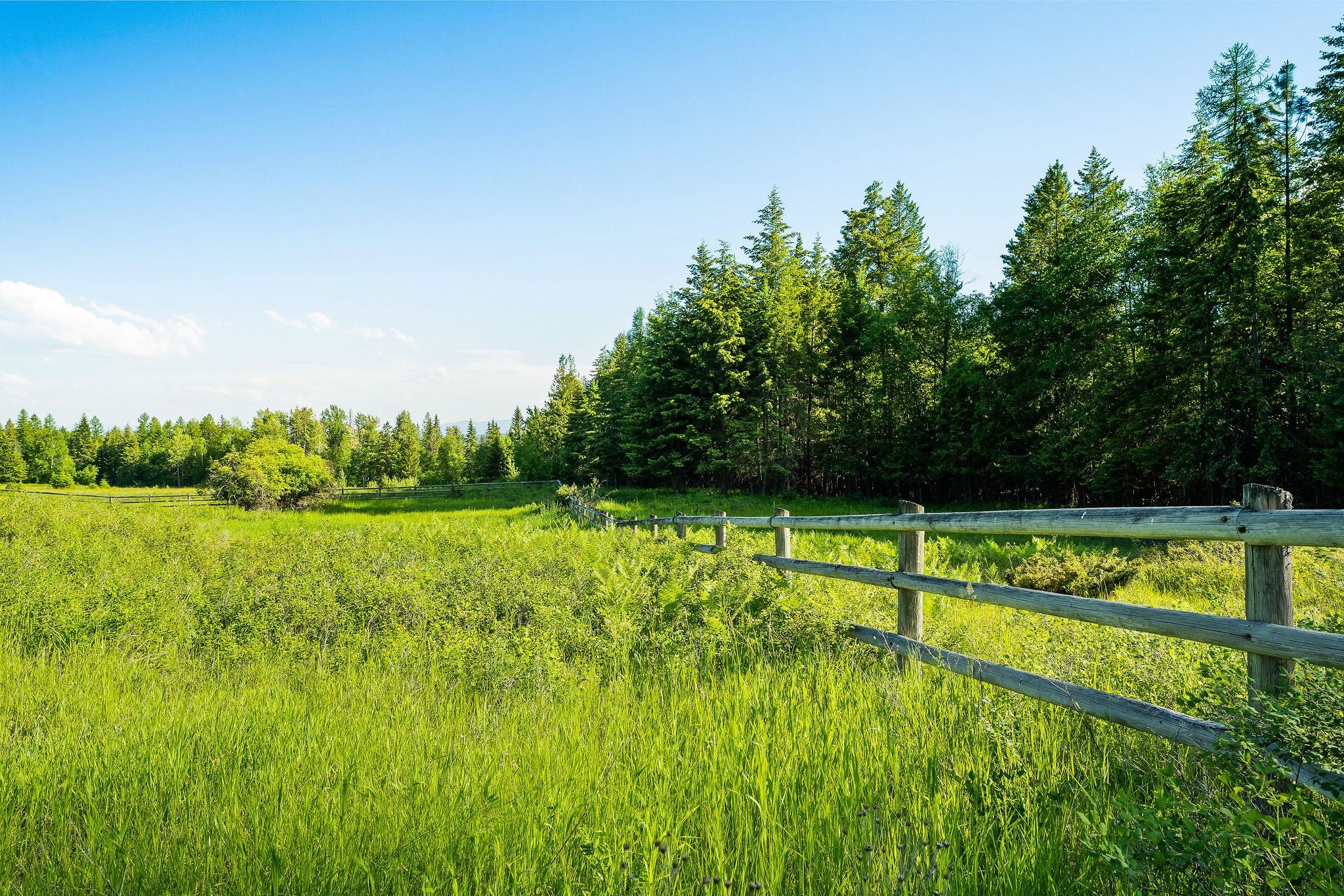 Whitefish, Montana, 59937, United States, ,9 BathroomsBathrooms,Residential,Active,1769536