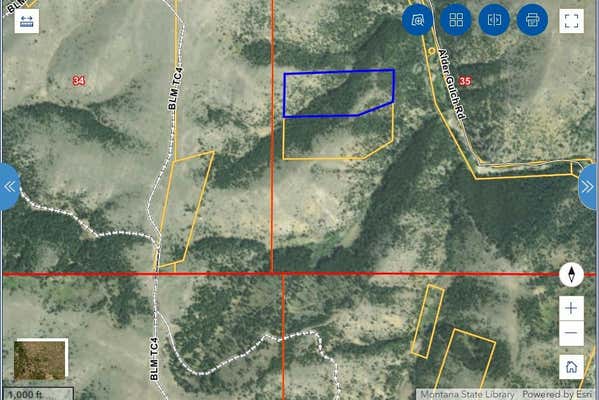 TBD WILSON LODE SUR 10360, 19.43 AC, VIRGINIA CITY, MT 59729 - Image 1