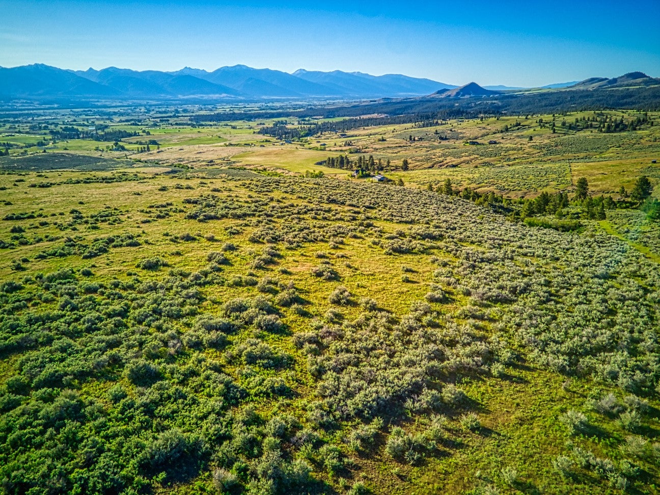 Corvallis, Montana, 59828, United States, 4 Bedrooms Bedrooms, ,4 BathroomsBathrooms,Residential,Active,1863486