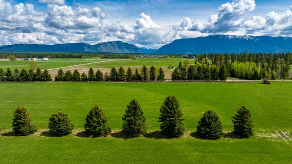 101 HAWKS CROSSING WAY, WHITEFISH, MT 59937 - Image 1