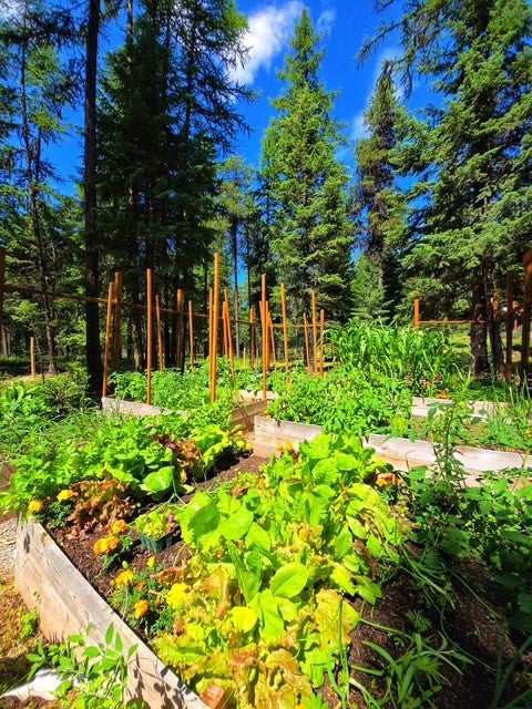 Whitefish, Montana, 59937, United States, 4 Bedrooms Bedrooms, ,3 BathroomsBathrooms,Residential,Active,1889340