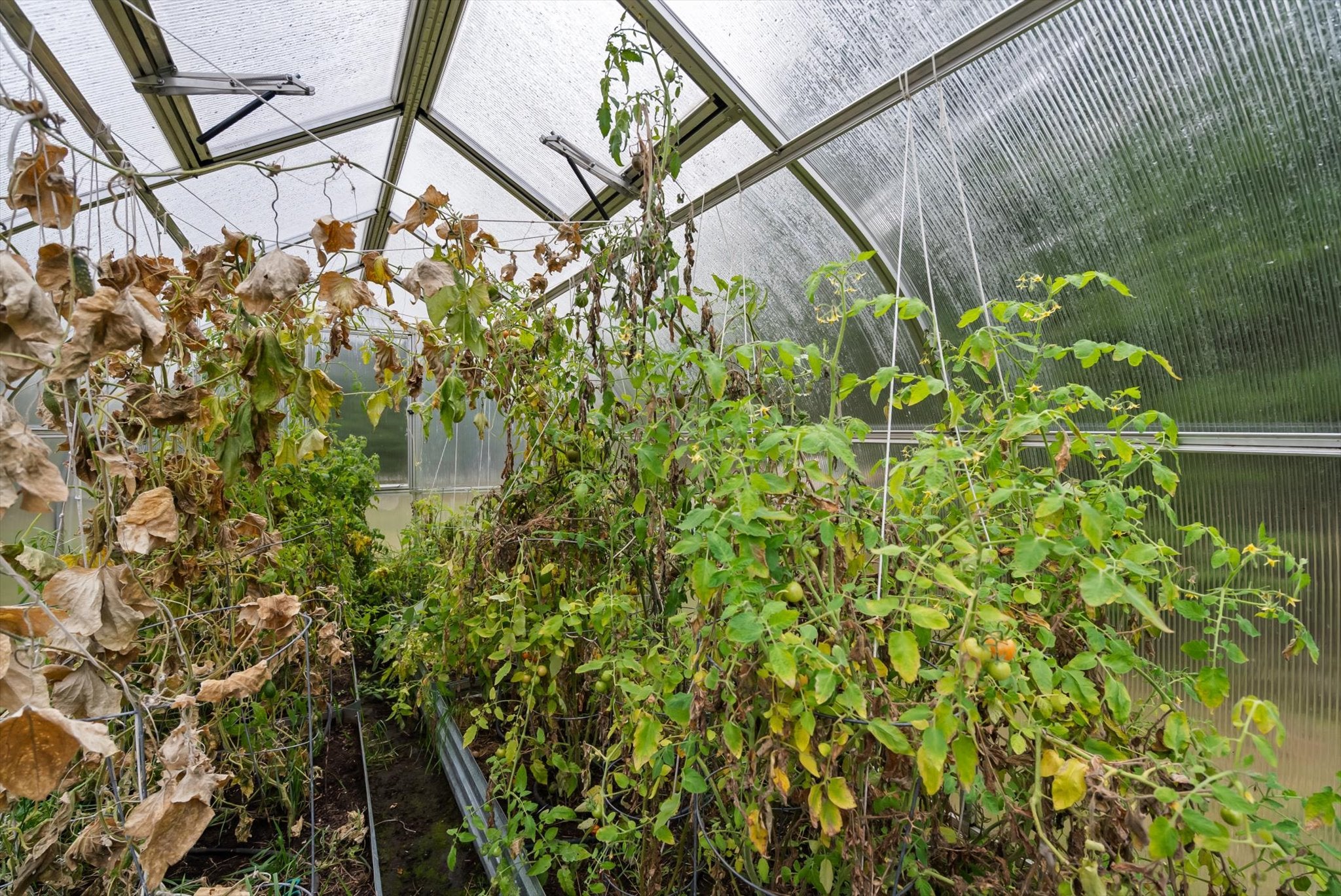 Kalispell, Montana, 59901, United States, 6 Bedrooms Bedrooms, ,5 BathroomsBathrooms,Residential,Active,1990648