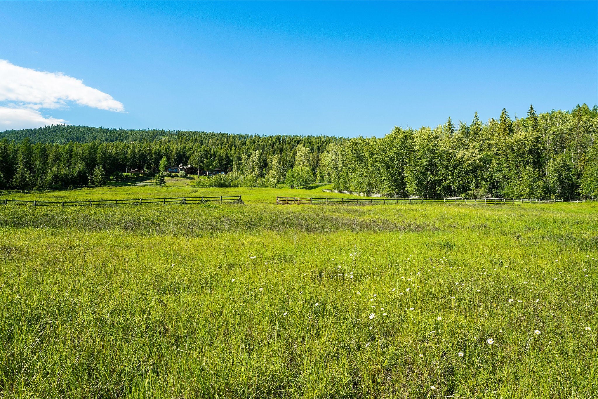 Whitefish, Montana, 59937, United States, ,9 BathroomsBathrooms,Residential,Active,1769536