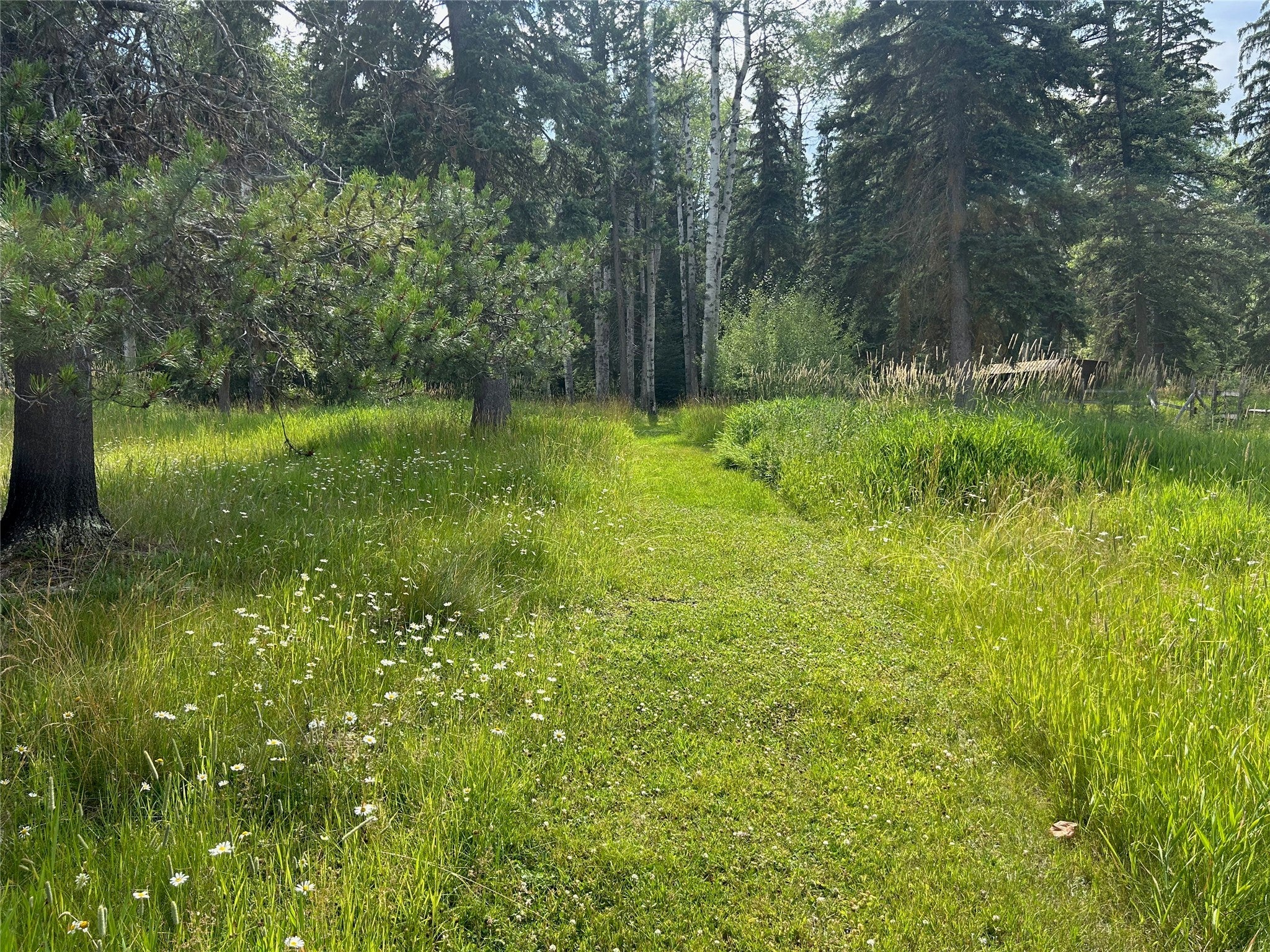 Whitefish, Montana, 59937, United States, 1 Bedroom Bedrooms, ,Residential,Active,1801048