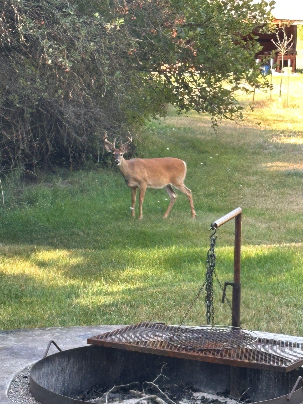 Libby, Montana, 59923, United States, 3 Bedrooms Bedrooms, ,2 BathroomsBathrooms,Residential,Active,1945847