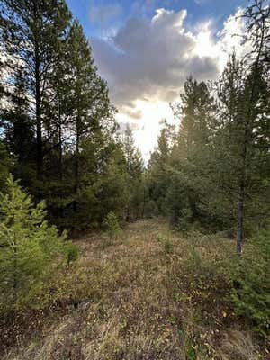 LOT 10 BLACK PINE MEADOWS SUBDIVISION, PHILIPSBURG, MT 59858 - Image 1