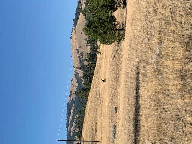 TTBBDD HOLMES GULCH ROAD, MONTANA CITY, MT 59634, photo 1