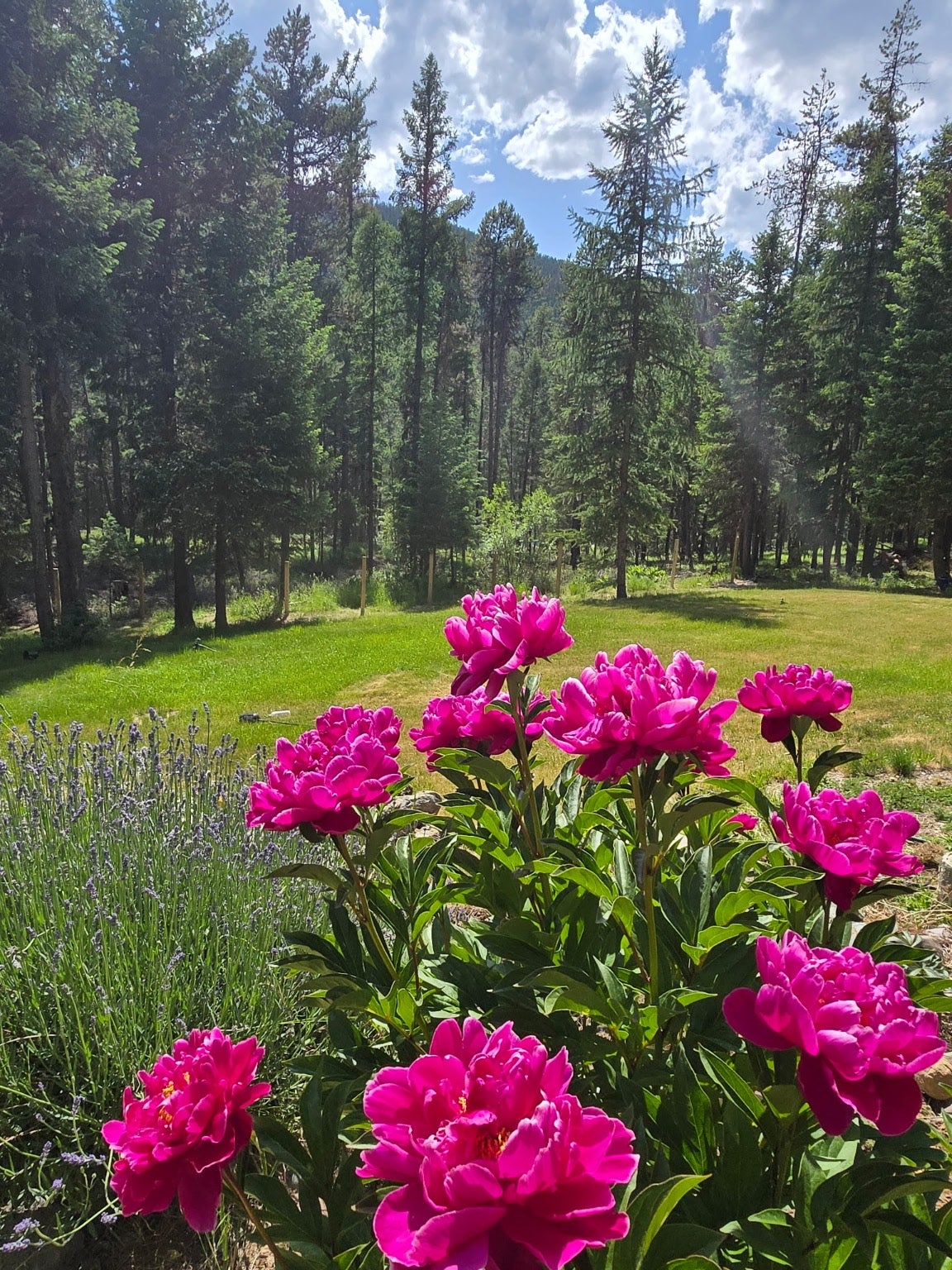 Whitefish, Montana, 59937, United States, 4 Bedrooms Bedrooms, ,3 BathroomsBathrooms,Residential,Active,1889340